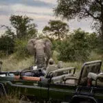 Un safari privado. 