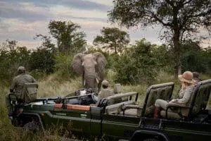 Un safari privado. 