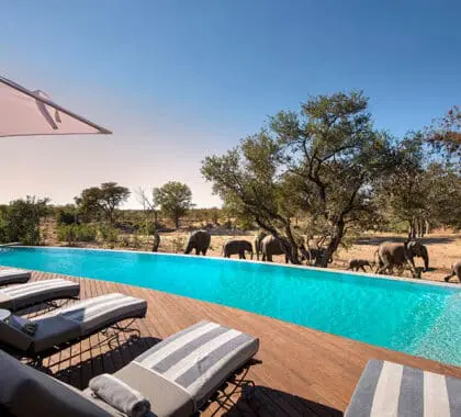 De nombreux lodges ne sont pas clôturés. 