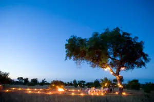 Una cena en el monte rodeada de farolillos. 