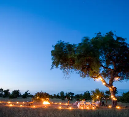 Un dîner dans la brousse entouré de lanternes. 