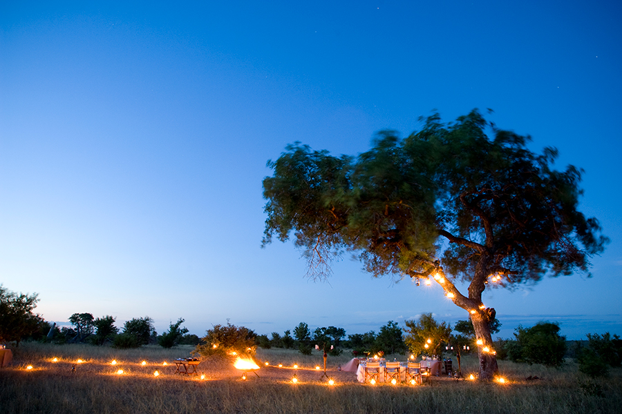 A bush dinner surrounded by lanterns. 