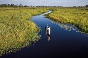 Explore the Okavango  Delta water channels. 