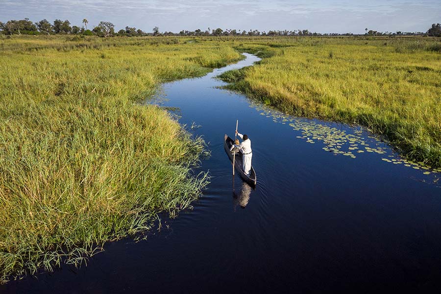 Explore the Okavango  Delta water channels. 