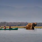 Actividad en canoa.