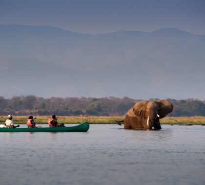 Canoe game viewing with an elephant nearby | Go2Africa