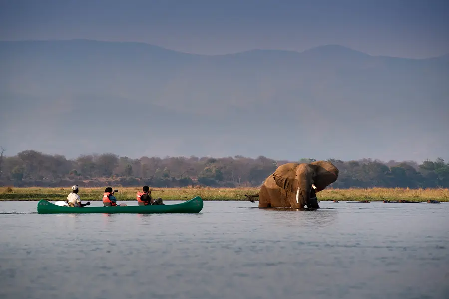 Canoe game viewing with an elephant nearby | Go2Africa