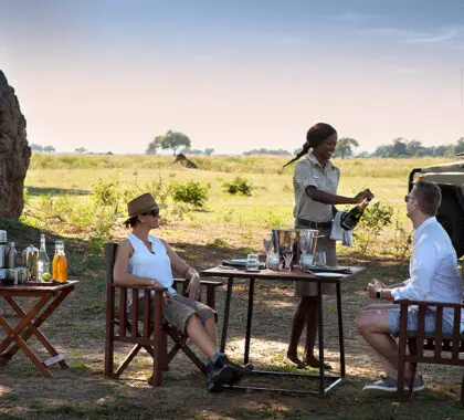 Nyamatusi_Camp_bush-drinks