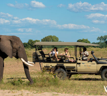 Game drives in Mana Pools.