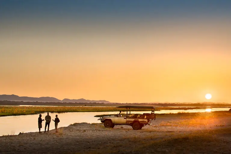 Sunset drinks.