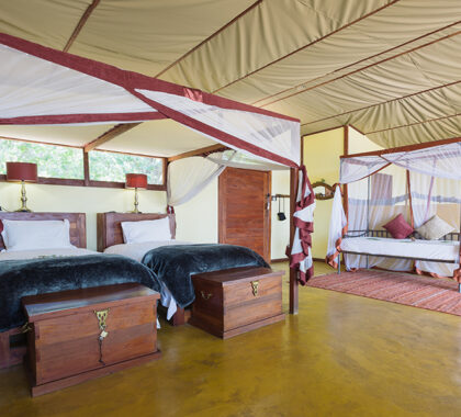 Potato Bush Camp_Safari-Tent-Bedroom