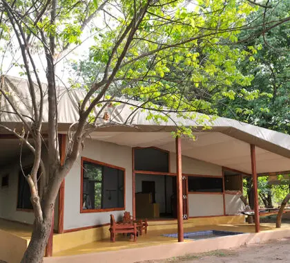 Potato Bush Camp_Safari-Tent-External-View1