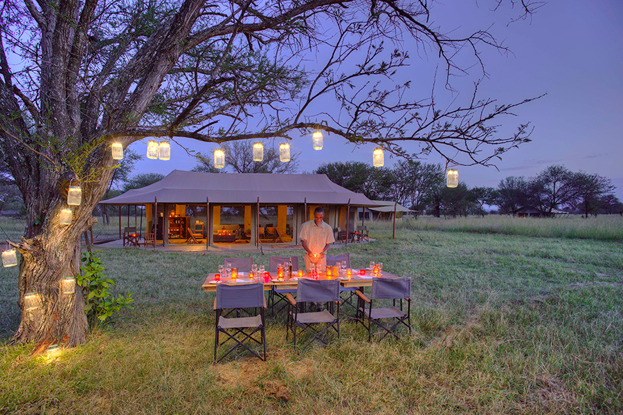 A private dinner at your tented camp. 