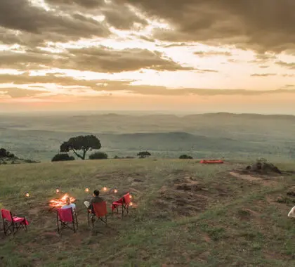 A romantic dinner. 