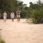 Un safari a pie en el Ngala Tented Camp. 