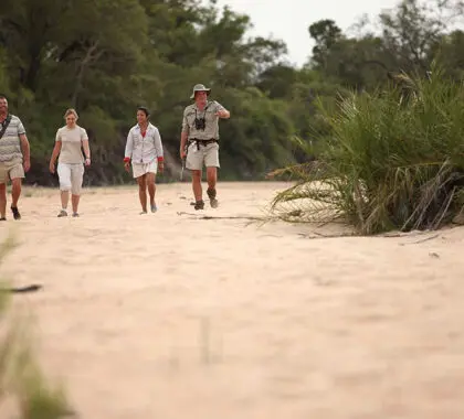 Un safari a pie en el Ngala Tented Camp. 