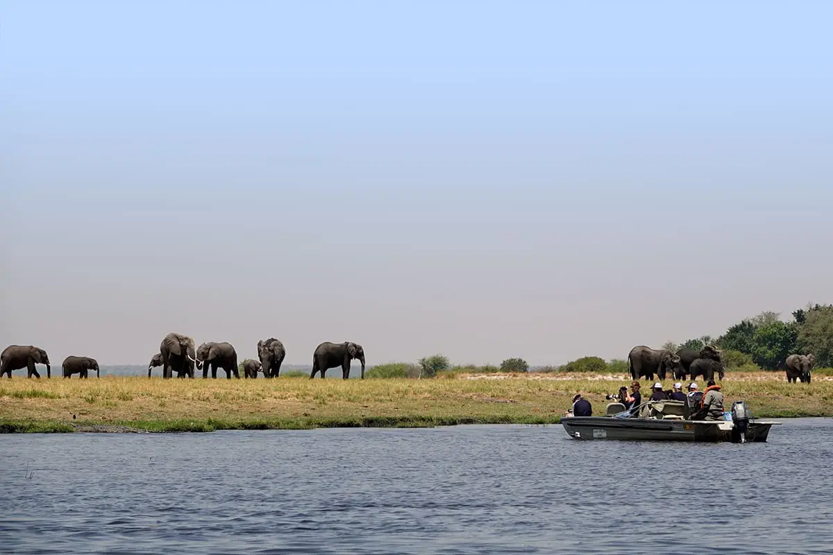 Grupo en safari en barco fotografiando elefantes en el Parque Nacional de Chobe | Botswana Safari | Go2Africa