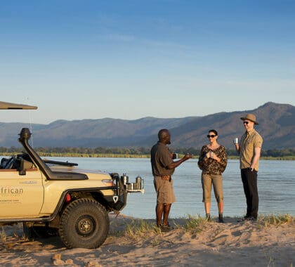 Bebidas después de un safari.