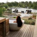 Disfrute del avistamiento de animales desde su suite. 