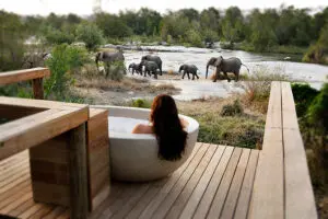 Disfrute del avistamiento de animales desde su suite. 