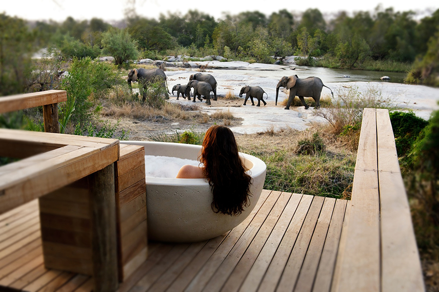 Enjoy game viewing from your suite. 