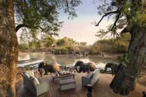 Share your luxurious vacation spot with Africa's wildlife.