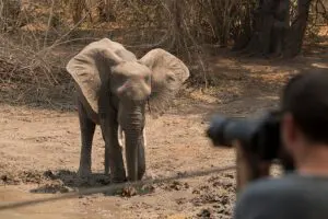 Superb photographic opportunities.