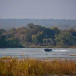 Boat trips on the Zambezi.