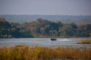 Boat trips on the Zambezi.