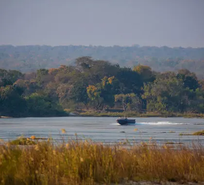 Boat trips on the Zambezi.