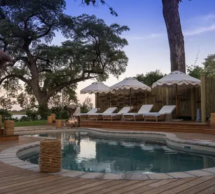 Relax at the swimming pool. 