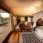 Guest tent interior with view.
