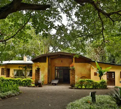 Boerderij Rivertrees Country Inn.