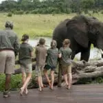 Magníficas actividades de safari para que disfruten los niños.