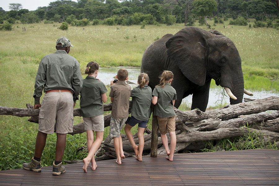 Superb safari activities for the kids to enjoy.