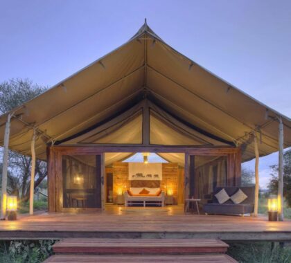 Tarangire Ndovu Tented Lodge, tent exterior.