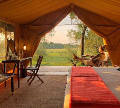 dusk-in-a-tented-room-epc