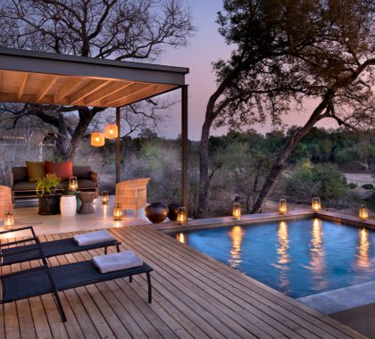 The Best Luxury Lodges in Kruger: Our Top 10 Picks