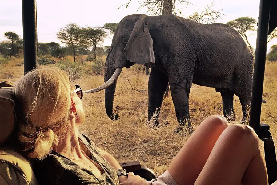 Get close to the Big5.