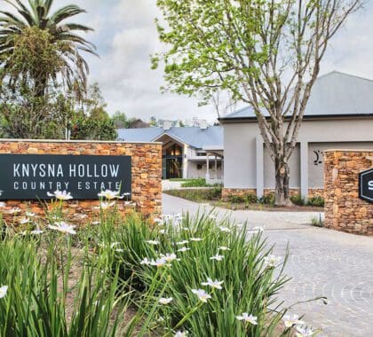 knysna-hollow-entrance-04