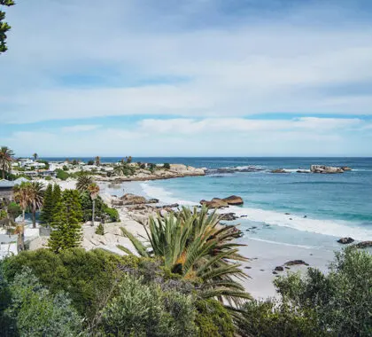 Las famosas costas de la Provincia Occidental del Cabo suponen un cambio de aires perfecto a lo largo de la Ruta Jardín