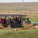 Acérquese a los 5 Grandes.