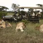 Emocionante avistamiento de animales.