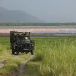 Flamencos del lago Manyara.