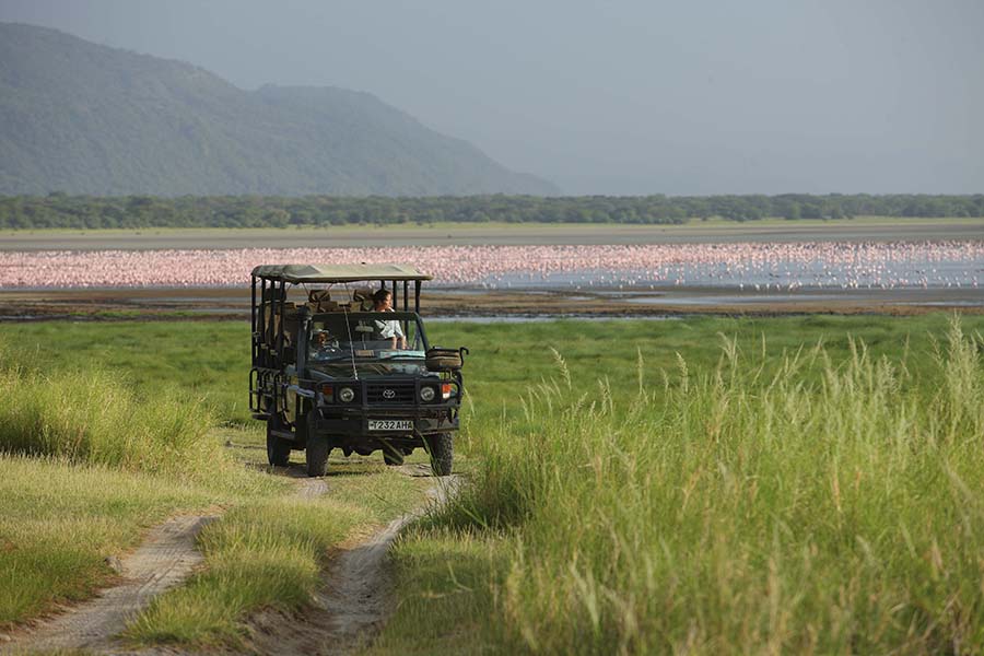 Lake Manyara flamingos.