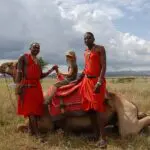 Aventuras de senderismo en camello con los masai locales.