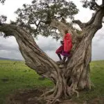 Miembro de la tribu Masai.