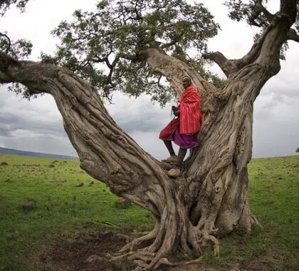 A member of the Masai tribe.