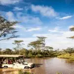 Emocionantes safaris en África Oriental.