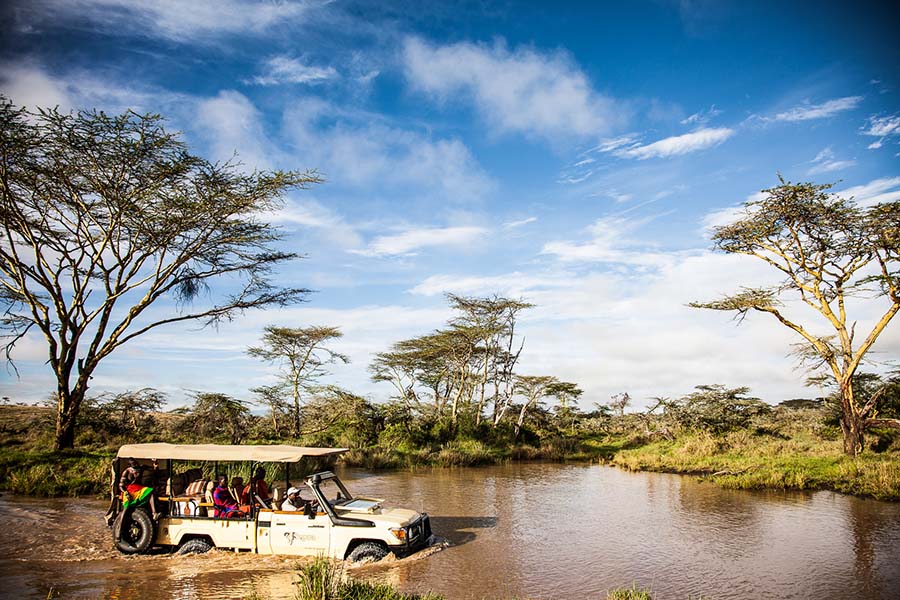 Thrilling game drives in East Africa.